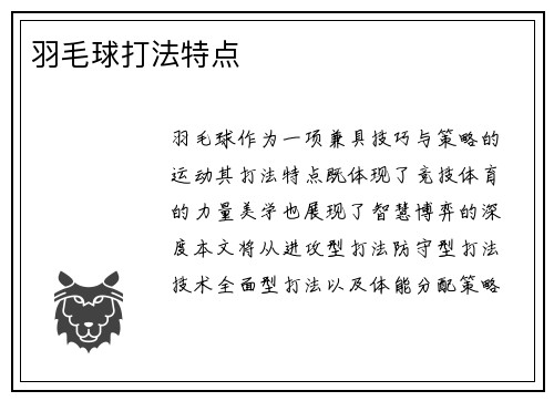 羽毛球打法特点
