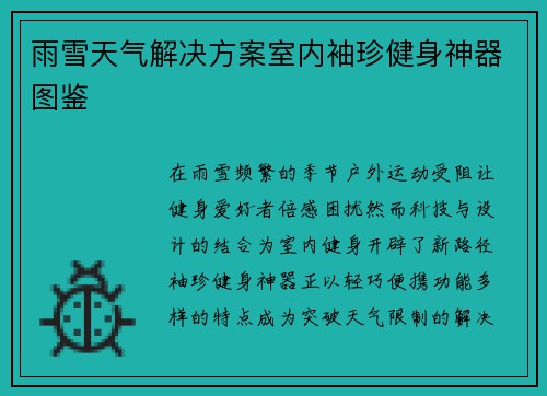 雨雪天气解决方案室内袖珍健身神器图鉴
